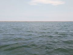 -碧海金沙