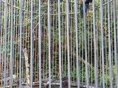 -孔雀湖生态旅游区