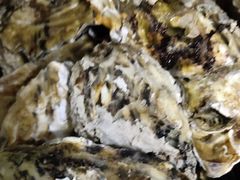 -宾朋海鲜特色美食餐厅·纯手工鲅鱼水饺(兴海路店)