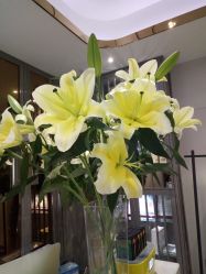 -百丽雅QueenSpa双美中心