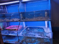 -面道赞宁海海鲜面(迎凤街店)