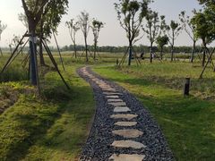 -春花秋色城市公园