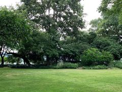 -西湖外事游船(花港观鱼码头)