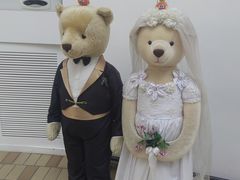 -济州岛泰迪熊博物馆