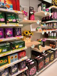 -乐高授权专卖店(岭南站NOVA店)