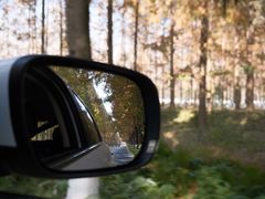 -黄海国家森林公园