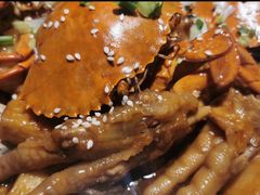 螃蟹-谢蟹浓·肉蟹煲(新奥店)