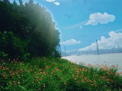 -海棠烟雨公园