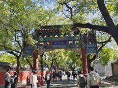 -北京国子监胡同
