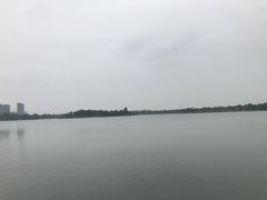-桐乡凤凰湖