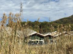 -西湖风景区-江洋畈生态公园