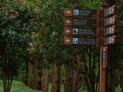 -黄海国家森林公园