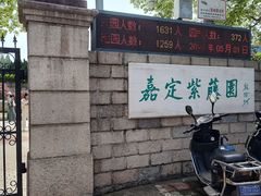 -嘉定紫藤园