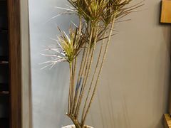 -一叶觅山(半边街店)