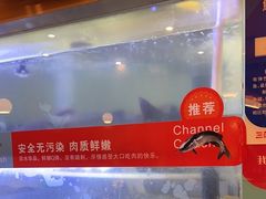 -三江源活鱼现烤(维多利摩尔城店)