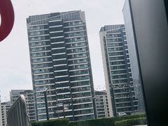-凤凰湘语(浦东旗舰店)