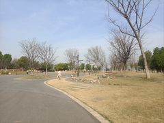 -盘龙城国家考古遗址公园