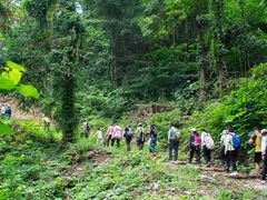 -素山寺森林公园