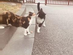-桐乡植物园