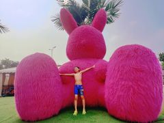 -秦皇岛乐岛海洋王国