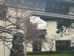 -杭州西湖柳莺里酒店