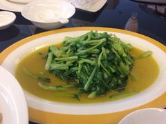 炒鸡毛菜-无锡新湖铂尔曼大酒店·悦轩中餐厅