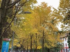 -四川大学(望江校区)