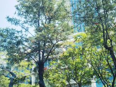 -华侨大学(厦门校区)