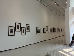 -四川美术学院美术馆