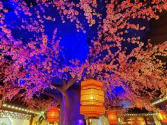 -荷塘秋月·本帮江浙菜(国权路店)