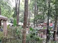 -二荆条·蜀鲜汇城市森林火锅