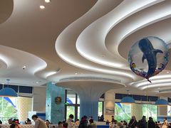 -帝企鹅自助餐厅•儿童岛•真企鹅(长隆企鹅酒店)