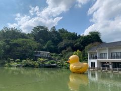 -谷丰健康凤贤居酒家