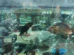 -客家汇·客家传承菜(水库店)