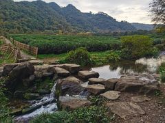 -中国茶叶博物馆(双峰馆区)