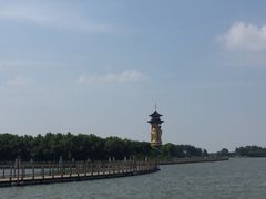 -溱湖国家湿地公园