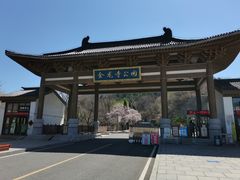 -金龙寺国家森林公园