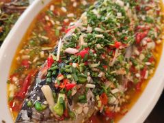 飞虹鱼-飞虹鱼馆(春华路店)