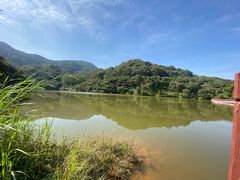 -黄埔油麻山森林公园