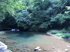-黎坪国家森林公园