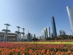 -海心沙亚运公园