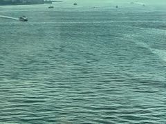 -海港城