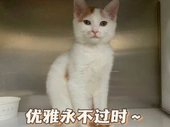 -美联众合爱康动物医院•复杂内科•肿瘤科•牙科•腔镜诊疗中心