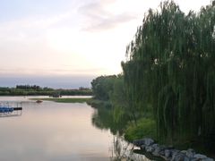 -大兴滨河森林公园