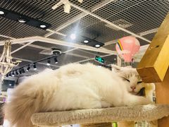 -小时光咖啡馆(开森度假森林店)