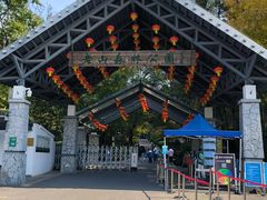 -南京老山国家森林公园