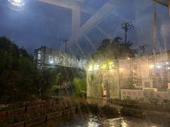 -蘑统田下·野生菌火锅