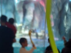 -帝企鹅自助餐厅•儿童岛•真企鹅(长隆企鹅酒店)