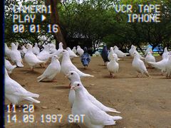 -秀丽东方
