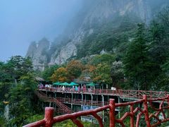 -老君山风景名胜区